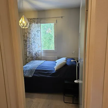 Near Santa's Village 罗瓦涅米